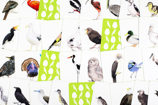 Memoryspil Match a Baby Bird