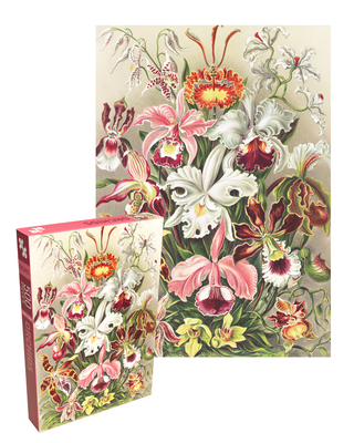 Orchids 500 brikker vintage puslespil fra Penny Puzzle