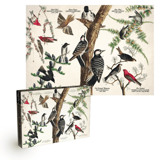 Birds of Audubon 1000 brikker vintage puslespil fra Penny Puzzle