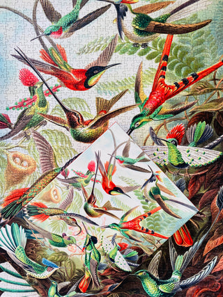 Hummingbirds 1000 brikker vintage puslespil fra Penny Puzzle