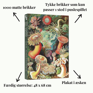 Sea Anemones 1000 brikker vintage puslespil fra Penny Puzzle