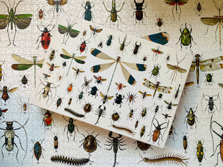 Bugs and Beetles 1000 brikker vintage puslespil fra Penny Puzzle