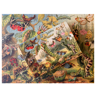 Wonders of Nature 1000 brikker puslespil fra Penny Puzzle