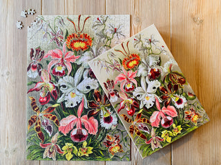 Orchids 500 brikker vintage puslespil fra Penny Puzzle