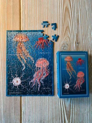 Deep Sea Dancers minipuslespil med 99 brikker fra Penny Puzzle
