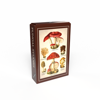 Vintage-Mini-Puzzle „Pilzkunde“ mit 99 Teilen von Penny Puzzle