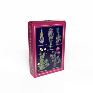 Das 99-teilige Mini-Puzzle „Wildherbarium“ von Penny Puzzle